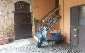 Borghello 2Level Airport